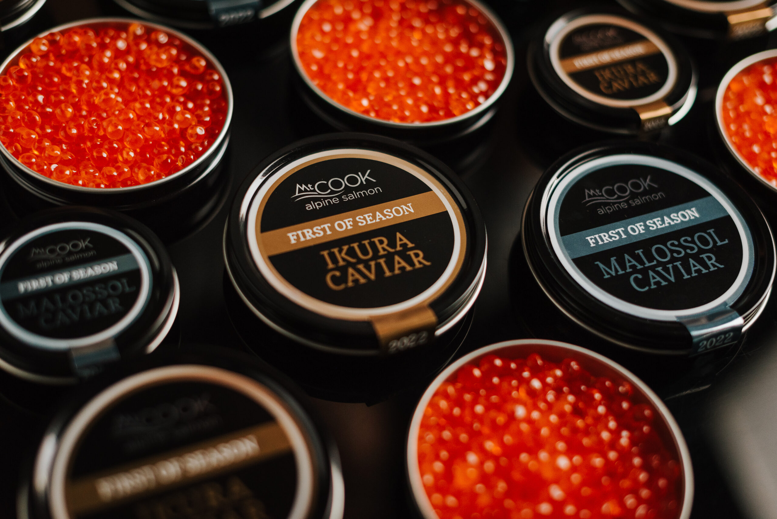 187 – MCS-AOR Caviar Shoot MAR 2022 - Mount Cook Alpine Salmon ...