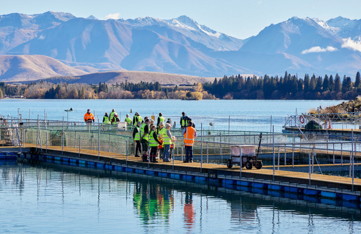 Mt Cook Alpine Salmon Community Open Day 2026 at Ruataniwha Farm, near Twizel.