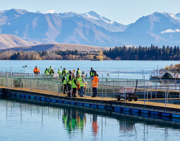 Mt Cook Alpine Salmon Community Open Day 2026 at Ruataniwha Farm, near Twizel.